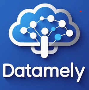 Datamely Logo